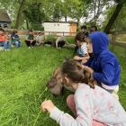 De boerderij 3C