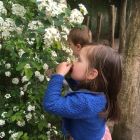 In de tuin - bloemen voor mama