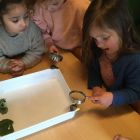 In de tuin - bloemen voor mama