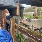 Een beestige dag op kinderboerderij De Campagne
