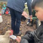 Een beestige dag op kinderboerderij De Campagne