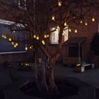 Kerst en Nieuw