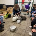 Een beestige dag op kinderboerderij De Campagne