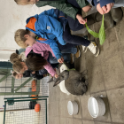 Een beestige dag op kinderboerderij De Campagne