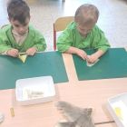 Vogels voeren en beloeren