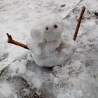 Sneeuwpret