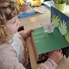 Thema hefbomen, tandwielen en magneten