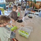 Thema hefbomen, tandwielen en magneten