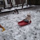 Sneeuwpret