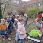 Van klaslokaal tot tuincentrum