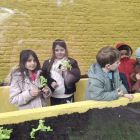 Van klaslokaal tot tuincentrum
