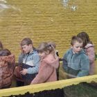 Van klaslokaal tot tuincentrum