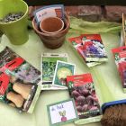 Van klaslokaal tot tuincentrum
