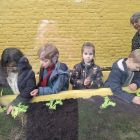 Van klaslokaal tot tuincentrum