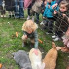 Anna wil een huisdier