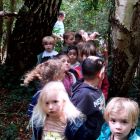 Heksen in het toverbos - 2kb