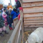 Op stap naar de kinderboerderij 'De Campagne' in Drongen