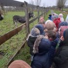 Op stap naar de kinderboerderij 'De Campagne' in Drongen