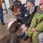 Op stap naar de kinderboerderij 'De Campagne' in Drongen