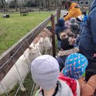 Op stap naar de kinderboerderij 'De Campagne' in Drongen