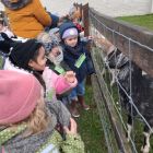 Op stap naar de kinderboerderij 'De Campagne' in Drongen