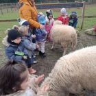 Op stap naar de kinderboerderij 'De Campagne' in Drongen