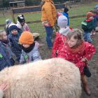 Op stap naar de kinderboerderij 'De Campagne' in Drongen