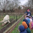 Op stap naar de kinderboerderij 'De Campagne' in Drongen