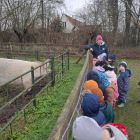 Op stap naar de kinderboerderij 'De Campagne' in Drongen