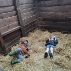 Op stap naar de kinderboerderij 'De Campagne' in Drongen