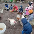 Op stap naar de kinderboerderij 'De Campagne' in Drongen