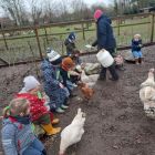 Op stap naar de kinderboerderij 'De Campagne' in Drongen