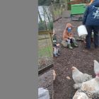 Op stap naar de kinderboerderij 'De Campagne' in Drongen