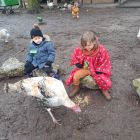Op stap naar de kinderboerderij 'De Campagne' in Drongen