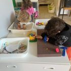 Anna wil een huisdier