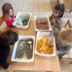 Anna wil een huisdier