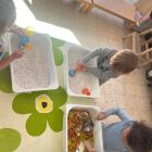 Anna wil een huisdier