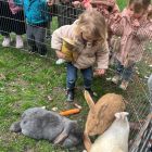 Anna wil een huisdier
