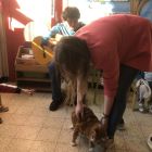 Anna wil een huisdier