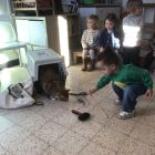 Anna wil een huisdier