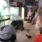 Anna wil een huisdier