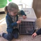 Anna wil een huisdier