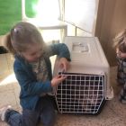 Anna wil een huisdier