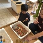 Anna wil een huisdier
