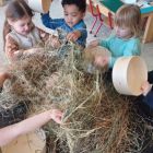 Nest: Mia kip