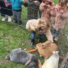 Anna wil een huisdier