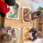 Anna wil een huisdier