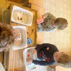 Anna wil een huisdier