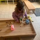 Anna wil een huisdier