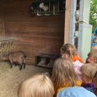 Op zwier met de bus: schoolreis H. Malter - toneelvoorstelling 'Morgen is 1 keer slapen'